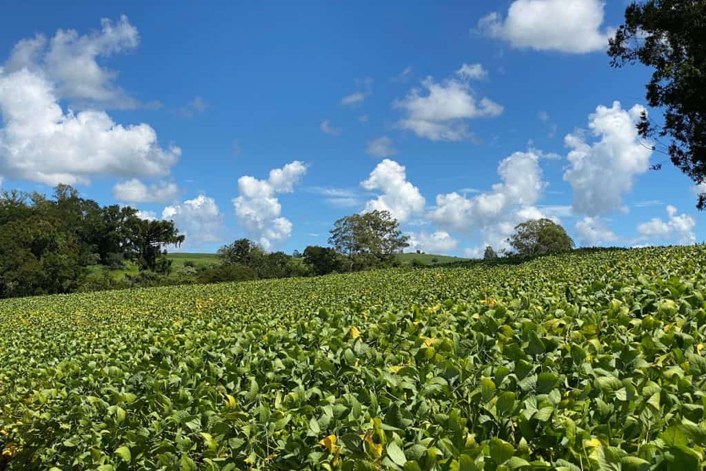 seguro rural