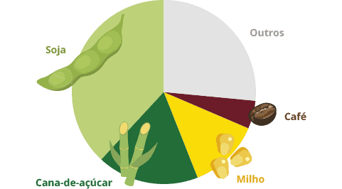 principais cultivos agrícolas do Brasil - IBGE - agroquímicos