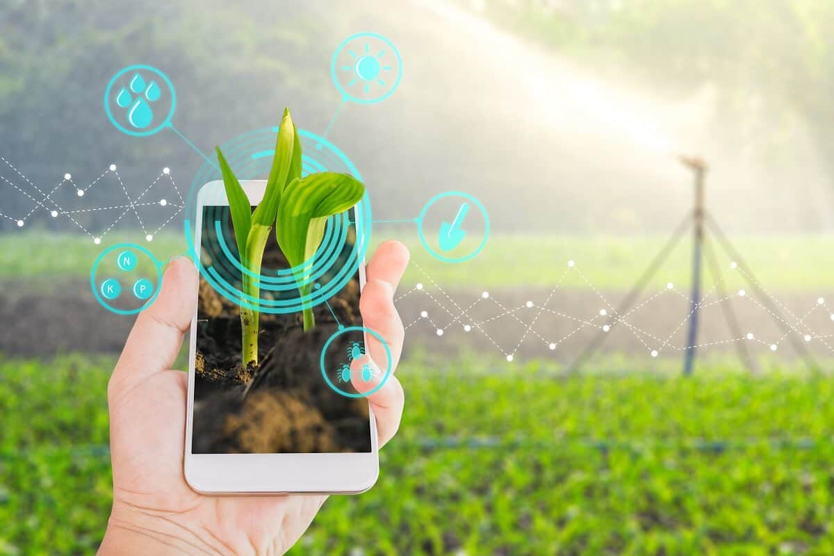 Agricultura digital: alimentando o futuro (o que é e muito mais!)