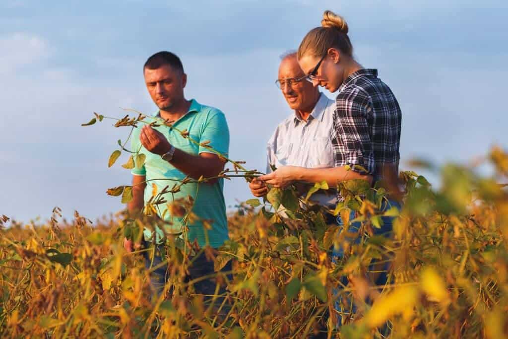 gestão de pessoas no agronegócio