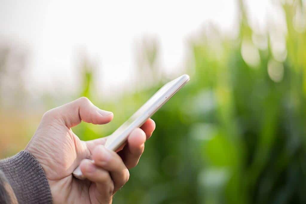 software de gestão rural