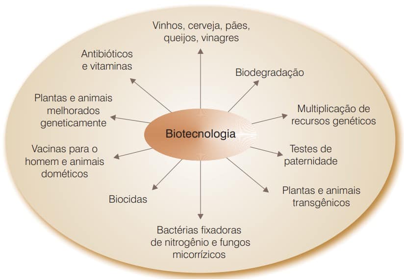 organograma dos principais produtos da biotecnologia