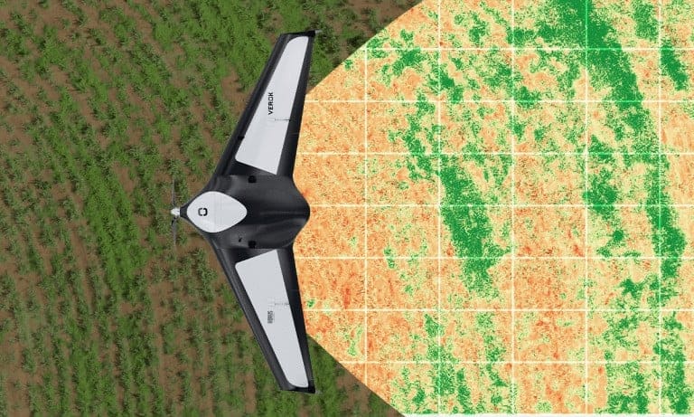 imagem representando o voo do drone da Horus realizando o mapeamento de plantas daninhas na lavoura