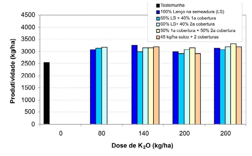 gráfico da produtividade de algodão em caroço em função de doses e época de aplicação de potássio, em solo com 500g/kg de argila e 63 mg/dm3 de K. Santa Helena de Goiás, safra 2003/2004.