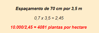 cálculo da população de plantas a partir do espaçamento, sendo espaçamento de 70 centímetros por 3,5 metros. 0,7 x 3,5 = 2,45
10.000/2,45 = 4081 plantas por hectare
