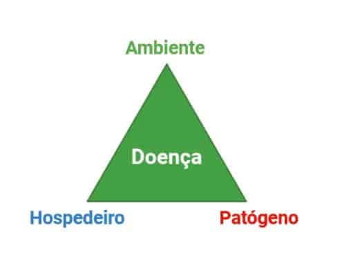 ilustração com o triângulo da doença, influências dos estresses na incidência de doenças sendo ambiente, hospedeiro e patógeno.