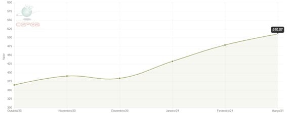 gráfico com variação do indicador do preço do algodão Cepea/Esalq dos últimos 6 meses