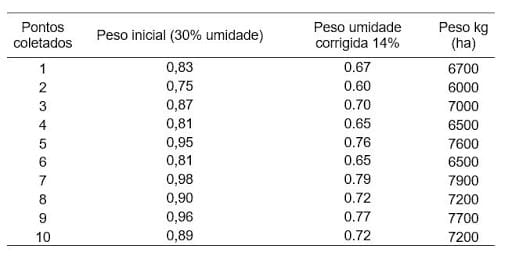 Exemplo do peso de 10 amostras representativas de uma lavoura de arroz para cálculo da estimativa de produtividade