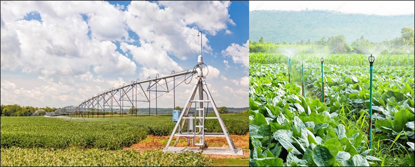 duas fotos com sistemas de irrigação por pivô central (esquerda) e aspersão convencional (direita)
