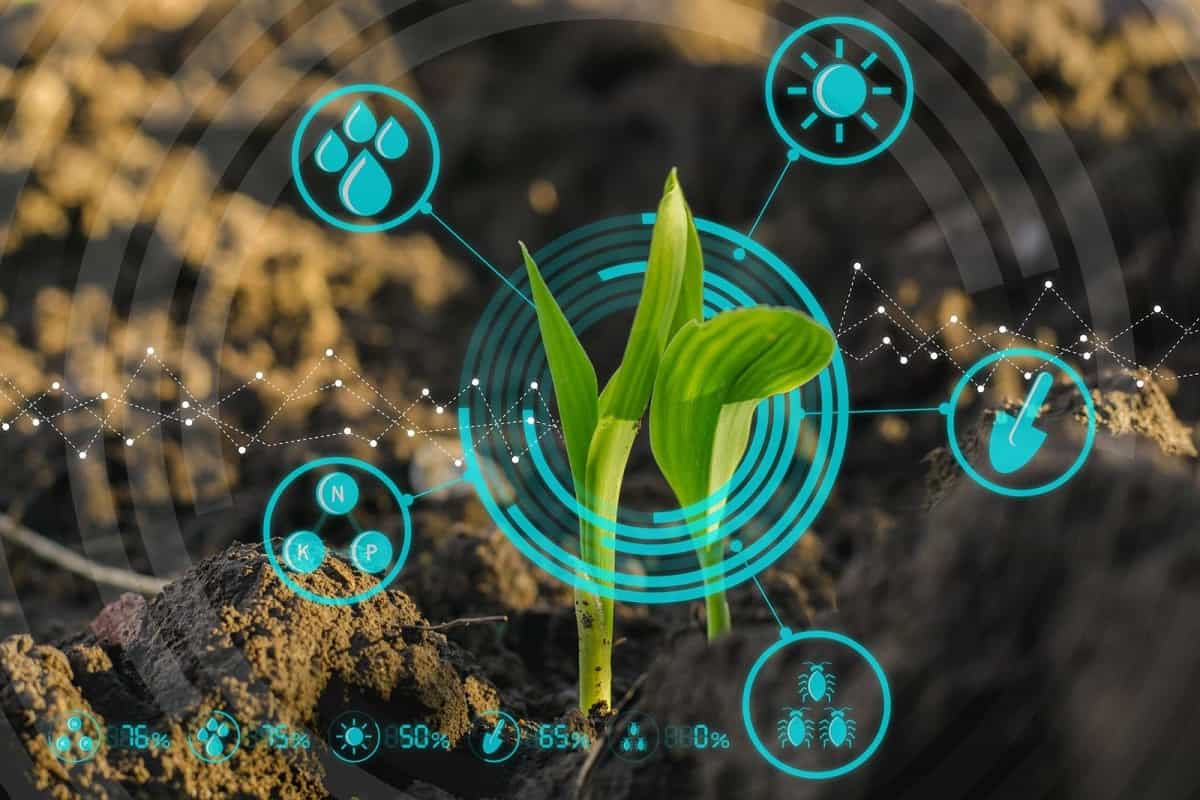 agricultura digital e planejamento safra