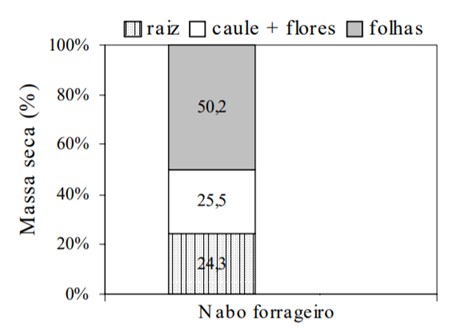 gráfico com distribuição da massa seca (%) em plantas de nabo forrageiro com 50% das plantas em florescimento