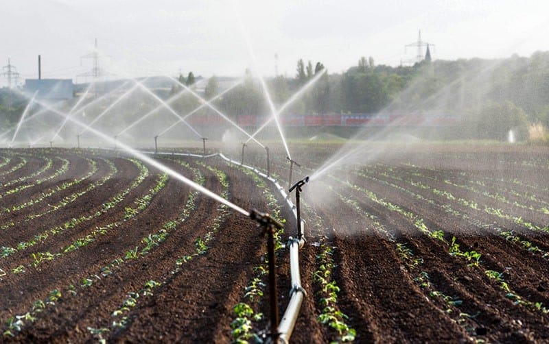 Sistema de irrigação por aspersão convencional