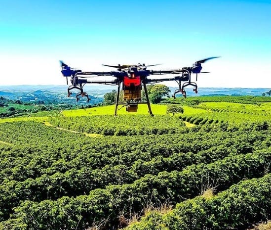 Drone em operação no cafeeiro
