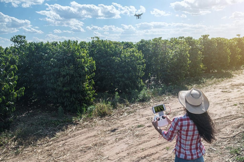 drones na pulverização do cafeeiro