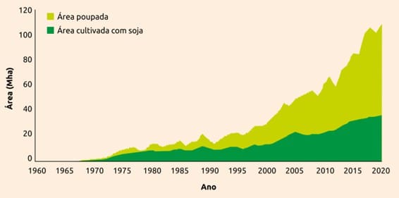 gráfico comparativo entre a área cultivada e a área poupada, caso a produtividade da soja permanecesse constante ao longo dos anos