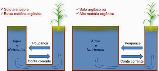 infográfico, explica que os solos funcionam como “contas bancárias”, que guardam a capacidade de suprimento de nutrientes e água para as plantas