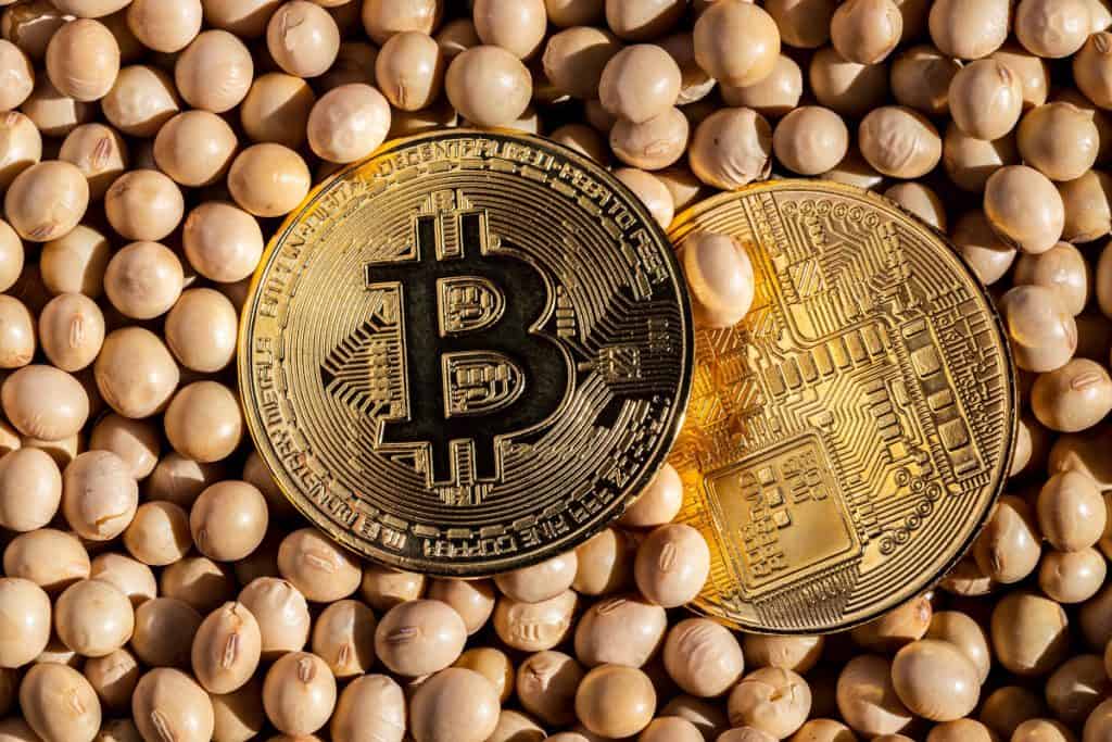 blockchain na agricultura