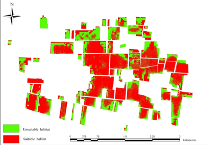 Mapa de habitat adequado para ocorrência de doenças, baseado em variáveis climáticas e imagens de satélites. Em verde, áreas inadequadas para ocorrência, em vermelho, áreas adequadas para ocorrência.