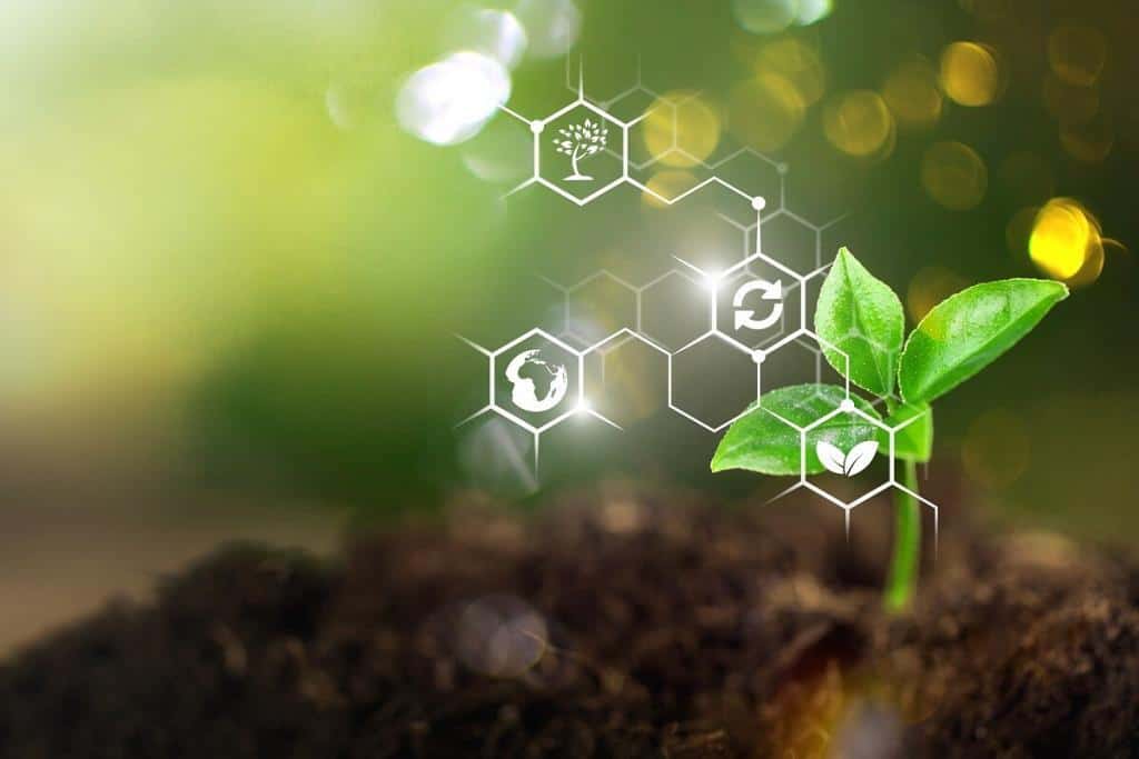 bioinsumos