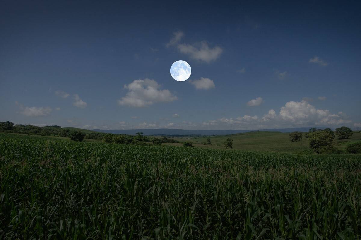 a imagem mostra uma lavoura à noite, e uma lua cheia no centro