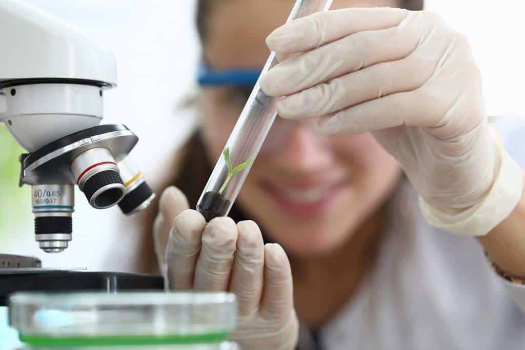 Imagem de uma cientista com luvas e óculos especiais, atrás de um microscópio. Ela observa sorrindo uma pequena planta dentro de um tubo de ensaio.