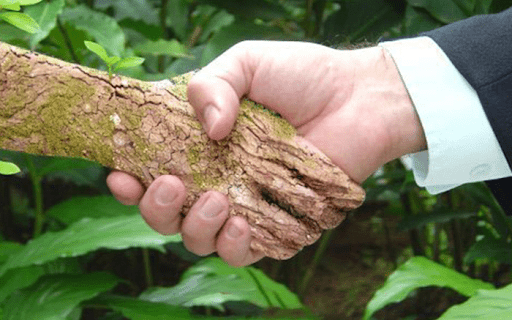Foto mostra mão de um homem dada à uma mão fictícia, feita de madeira