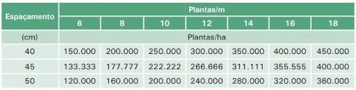 Tabela que mostra o espaçamento correto entre plantas, de acordo com os hectares