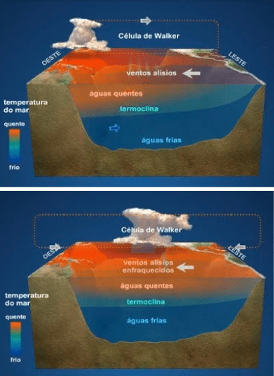 Relações oceano-atmosféricas de Walker normais (acima) e sob a influência do La Niña (abaixo).