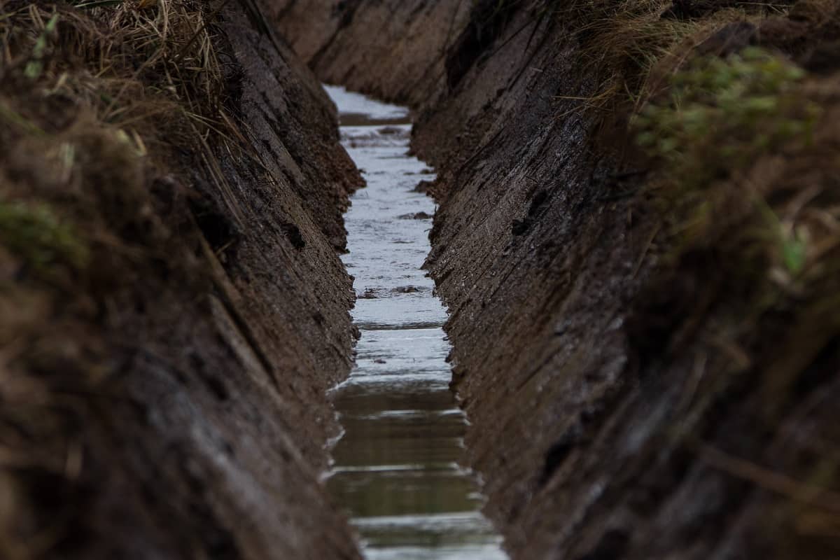 Drenagem do solo na agricultura: imagem de um canteiro de escoamento de água em solo