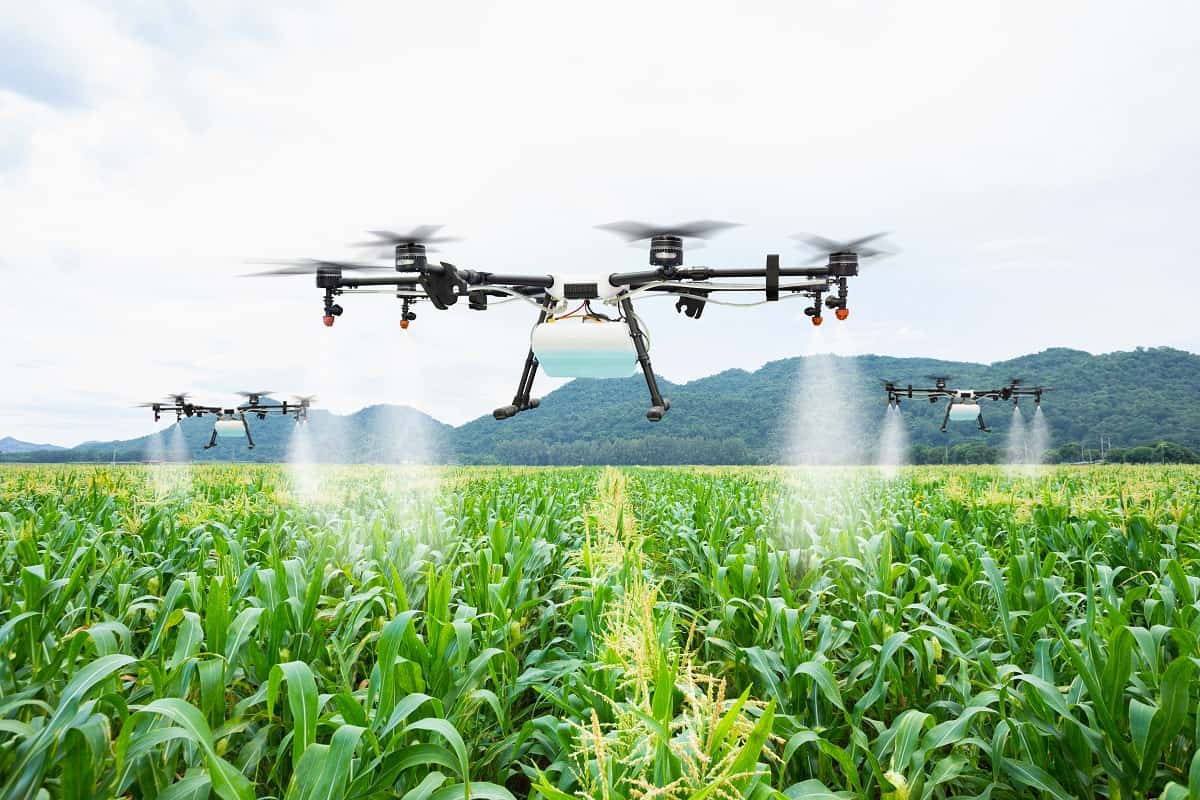 imagem de drone realizando a pulverização em lavoura de milho