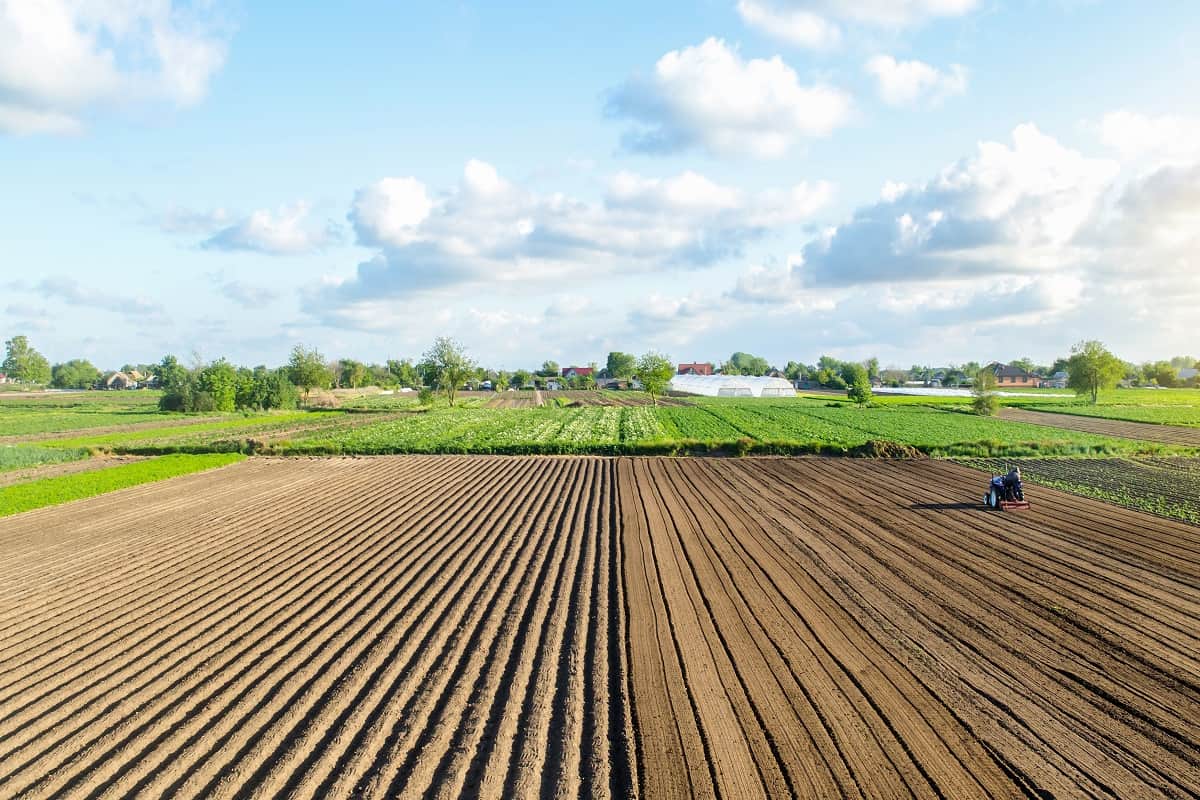Financiamento rural para aquisição de terras: foto de lavoura recém-arada, com céu azul cheio de nuvens no fundo