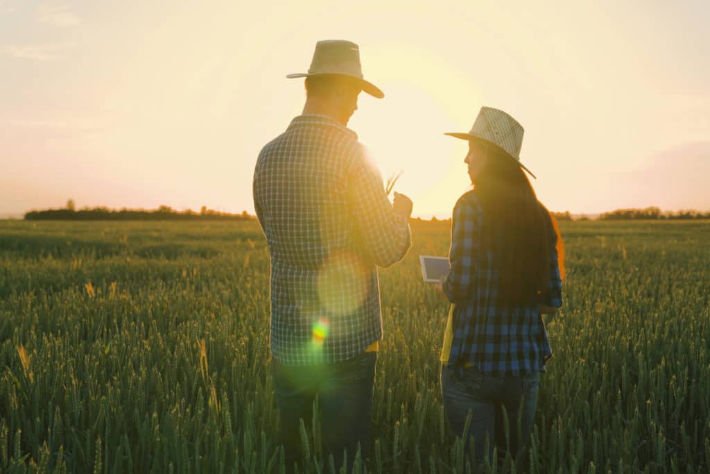 holding rural no agronegócio: foto de produtor e produtora em lavoura, no fim do dia. Apenas as sombras dos dois são visíveis.