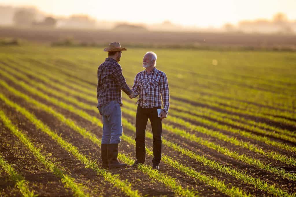 Foto de dois agricultores de mãos dadas em lavoura recém estabelecida.