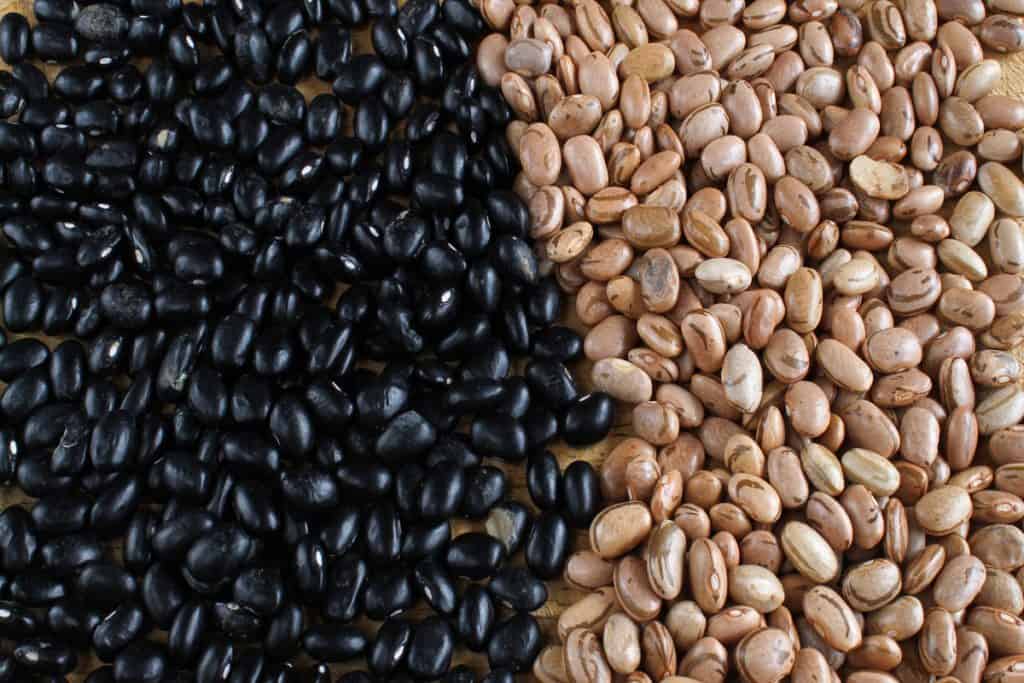 Foto de grãos de feijões pretos e marrons