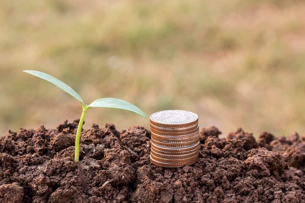 Moedas ao lado de um broto em terra fértil