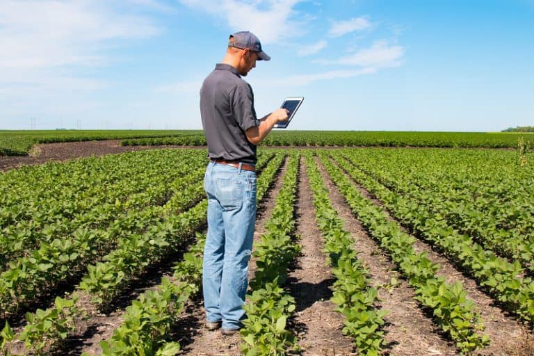 Blog Da Aegro Agroneg Cio Gest O Rural E Tecnologias Agr Colas