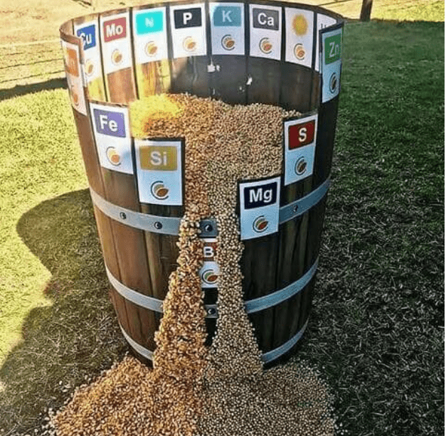 Foto de barril cheio de grãos de milho, para simbolizar a deficiência nutricional