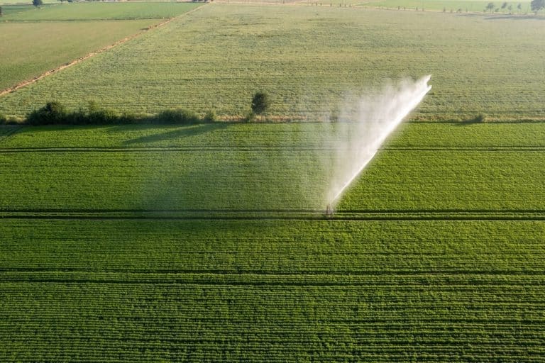 Foto de lavoura durante irrigação