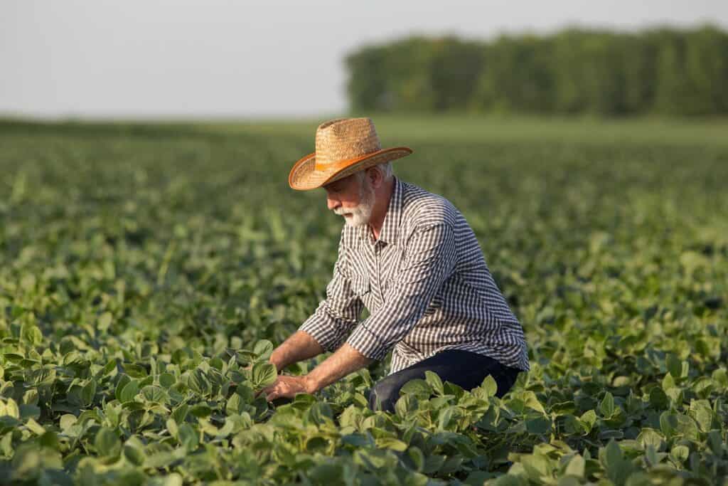 homem no campo