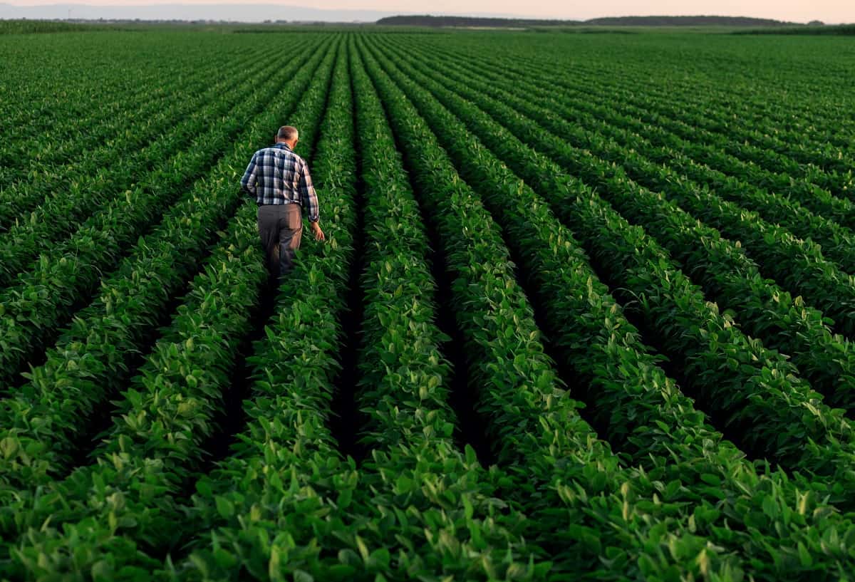 15 Jogos de Fazenda perfeitos para os agricultores de plantão