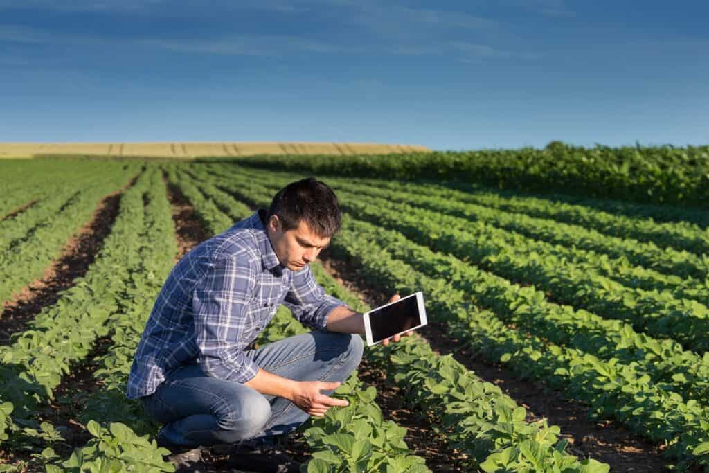 genetica-na-agricultura
