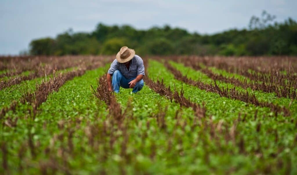 Agricultura de baixo carbono