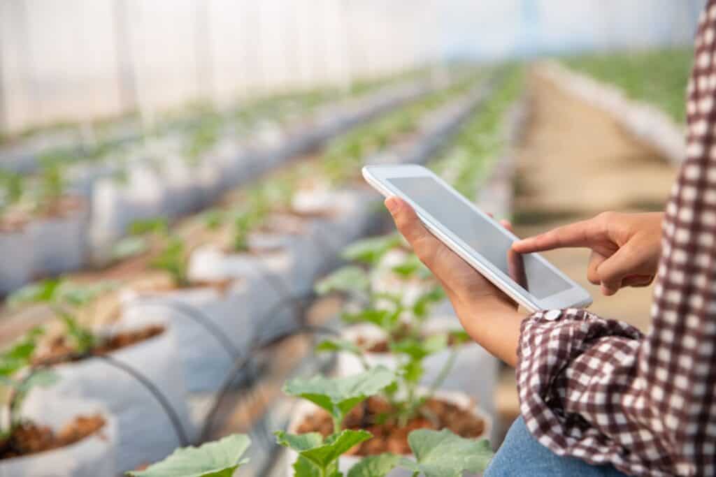 Agricultura moderna