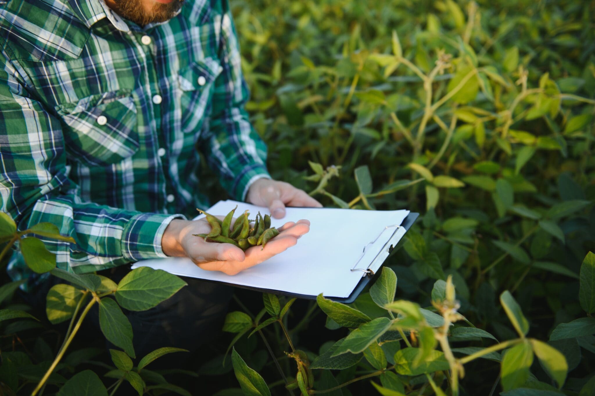 Calendário agrícola 2024 Tudo o que você precisa saber para se