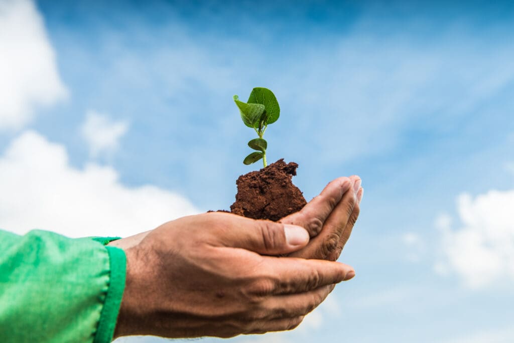 Agricultura sustentável e seus benefícios