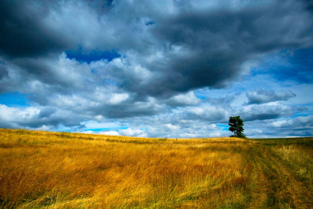 Representação dos impactos da mudanças climáticas na agricultura: Veja os efeitos!