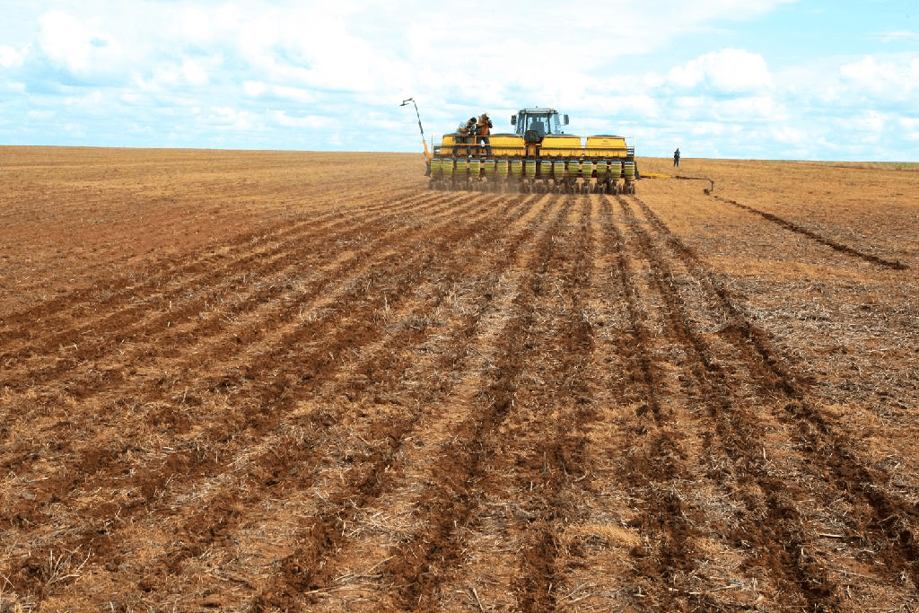 Lavoura de soja representando a relação do plantio de soja e o clima