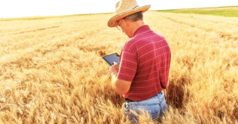 Como preencher nota fiscal do produtor rural?