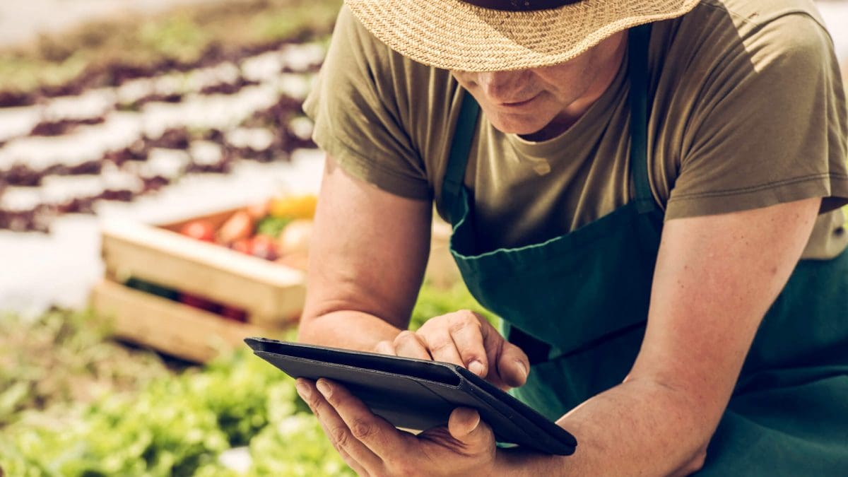 produtor rural, abaixado, de chapéu, emitindo sua nota fiscal em contingência, usando um tablet