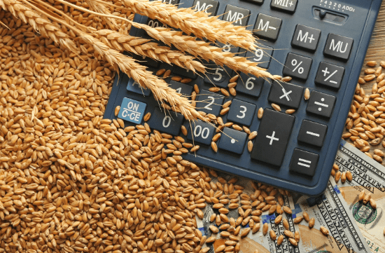 trigo sobrepondo uma calculadora, representando a emissão de nota fiscal para exportação de produtos agrícolas